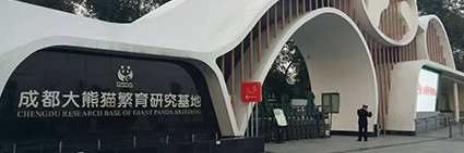 熊猫基地